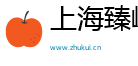 上海臻嵊